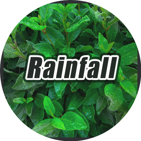 Thunder Storms & Rain Sounds