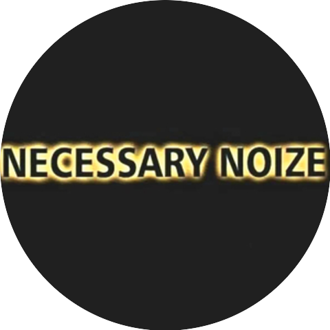 Necessary Noize