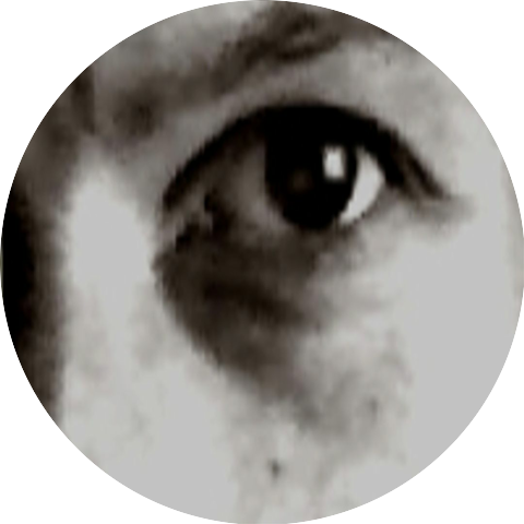 BurtNinja