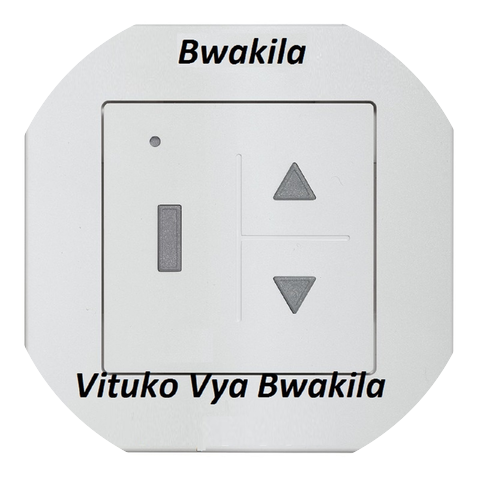 Bwakila