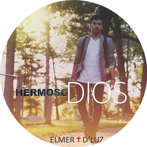 Elmer D'Luz