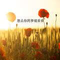 王欣
