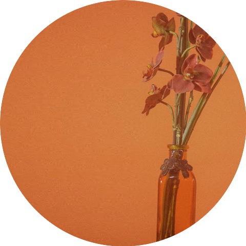 IV Of Spades