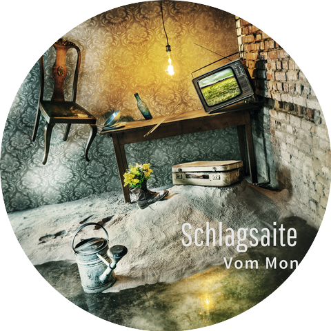 Schlagsaite
