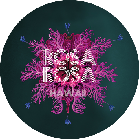 Rosa Rosa