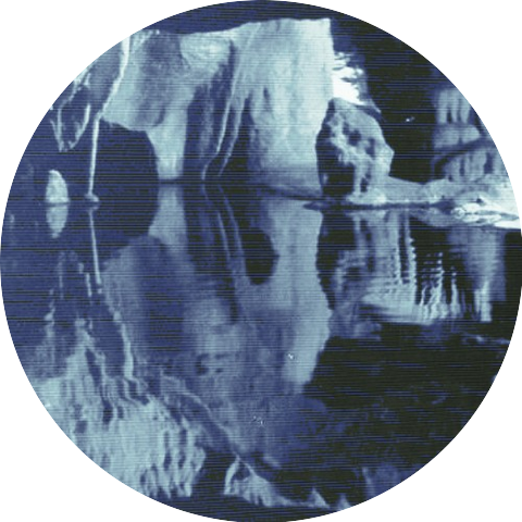 Anguila