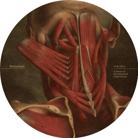 Borusiade