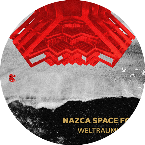 Nazca Space Fox