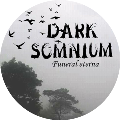 The Dark Somnium