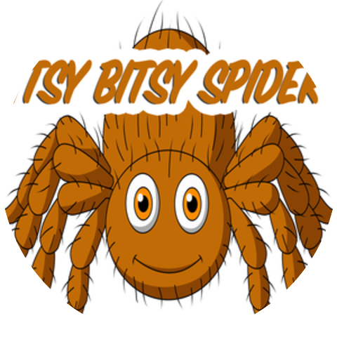 Itsy Bitsy Spider Kids