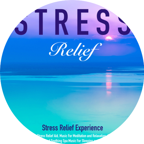 Stress Relief Experience