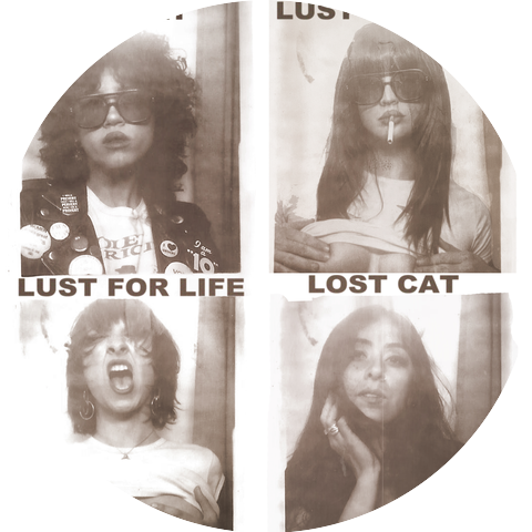 LOST CAT