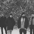 Ulver