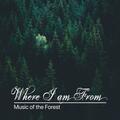 Music of the Forest