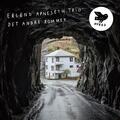 Erlend Apneseth Trio