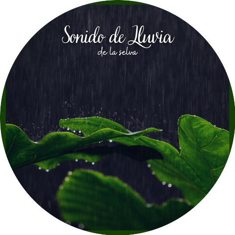 Sonido de la Selva