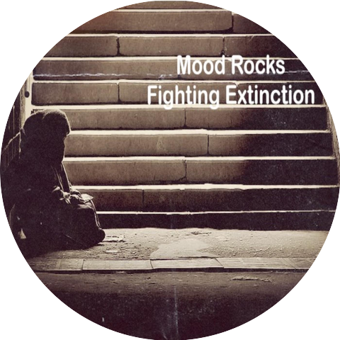 Mood Rocks