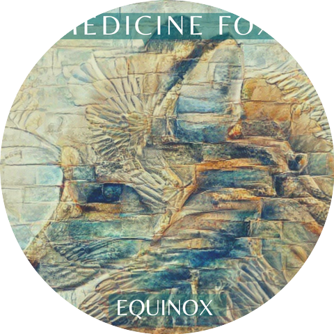 Medicine Fox