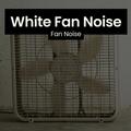 Fan Noise