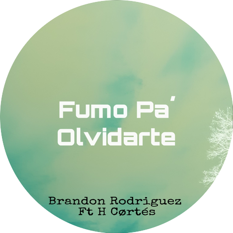 Brandon Rodriguez
