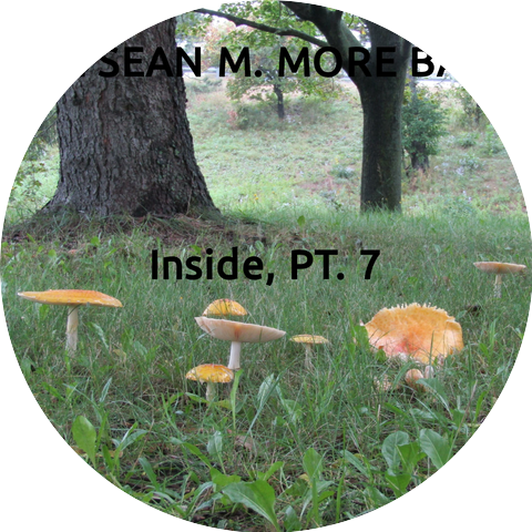 The Sean M. More Band