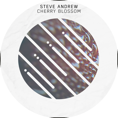 Steve Andrew