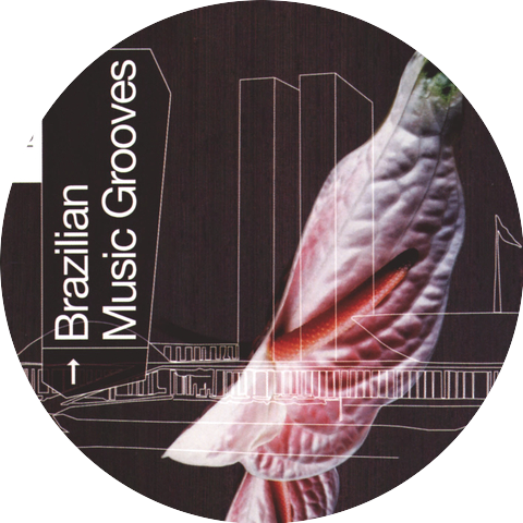 Sivuca & Rosinha de Valença