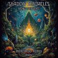 Shadow Chronicles