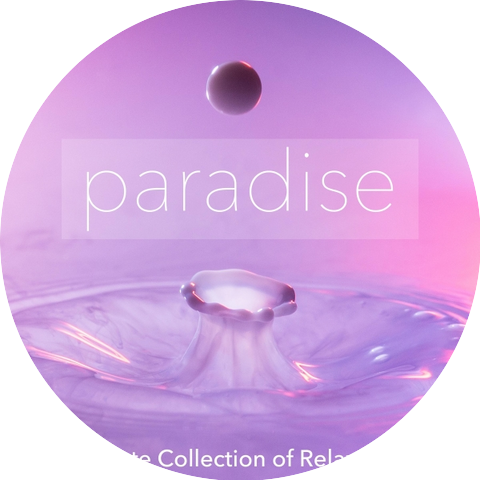 Meditation Zen Master & Desert Island Zen