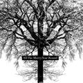 United Bible Studies