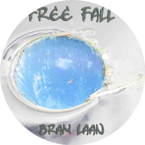Bram Laan