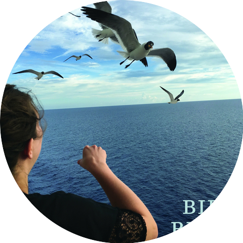 Bird Bites