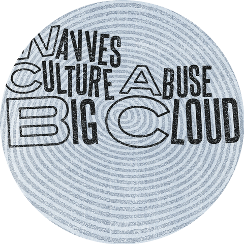 Wavves and Culture Abuse