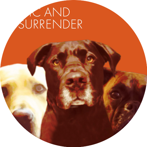 Static and Surrender