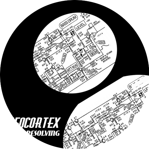 Neocortex