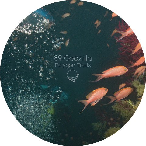 89 Godzilla