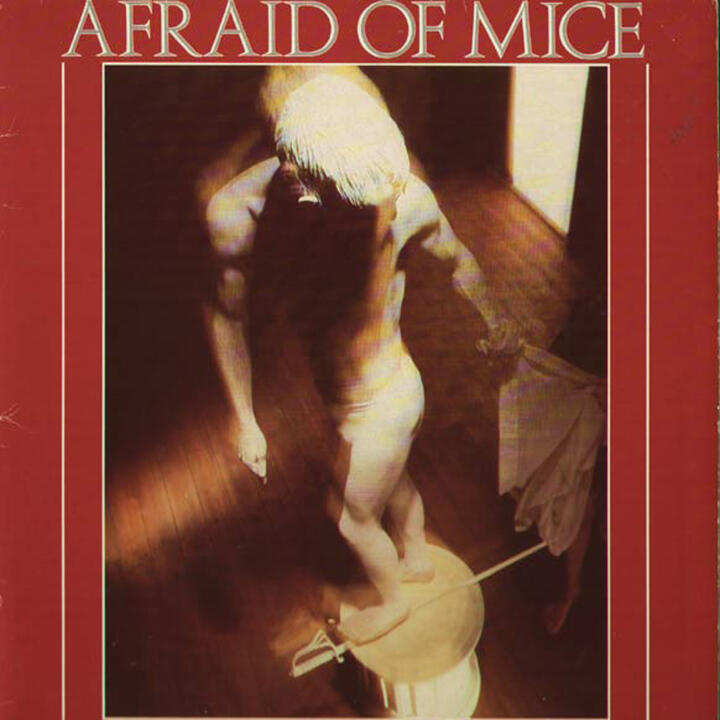 Afraid Of Mice