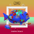 LDRU