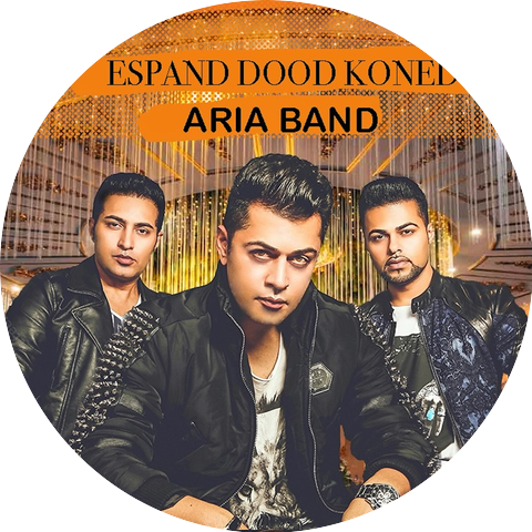 Aria Band