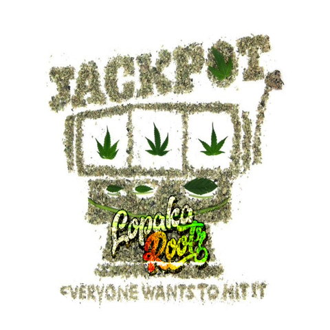 Lopaka Rootz HI in I