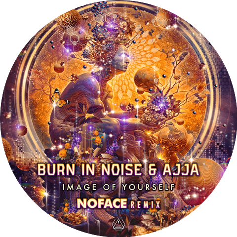 Ajja and Burn In Noise