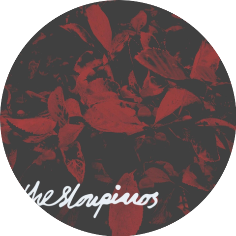 The Slow Pianos