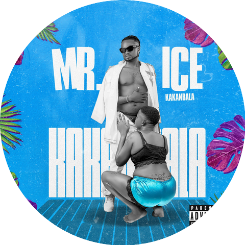 Mr Ice