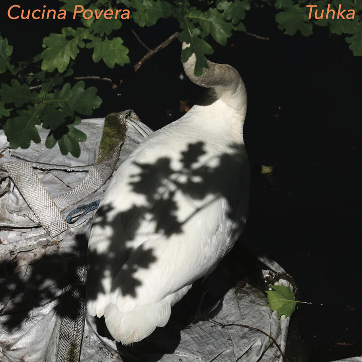 Cucina Povera