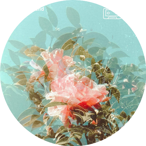 [Ocean Jams]