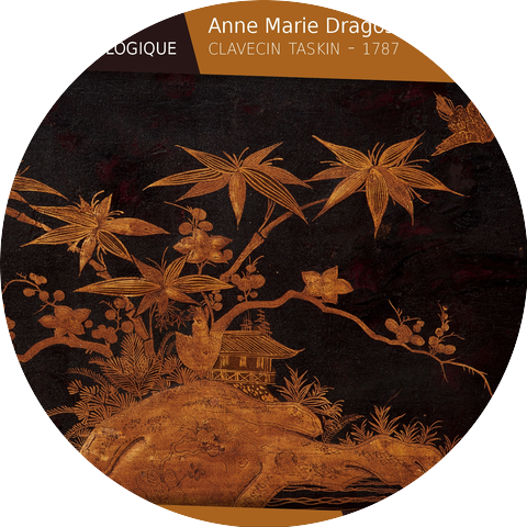 Anne Marie Dragosits
