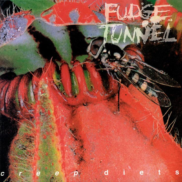 Fudge Tunnel