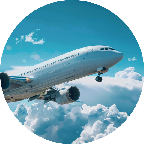 Fly To The Sky