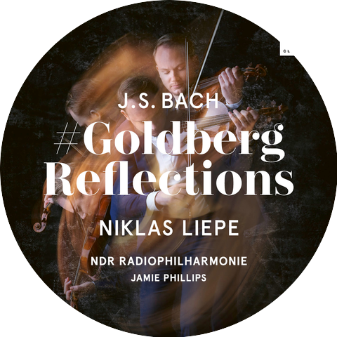 Niklas Liepe