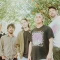 Narrow Head